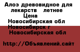 Алоэ древовидное для лекарств 4 летнее › Цена ­ 500 - Новосибирская обл., Новосибирск г.  »    . Новосибирская обл.